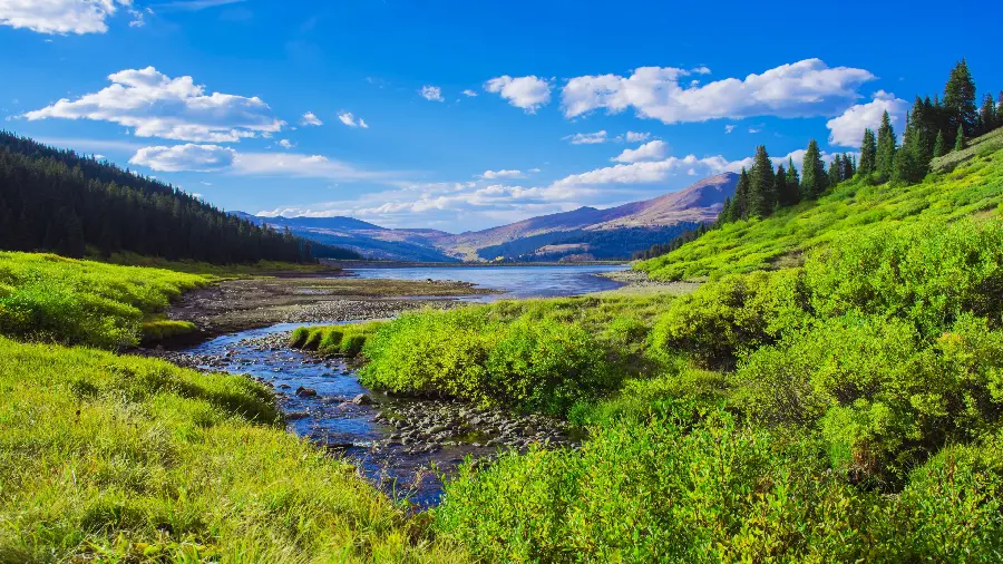 Download beautiful and special nature photos for wallpaper 