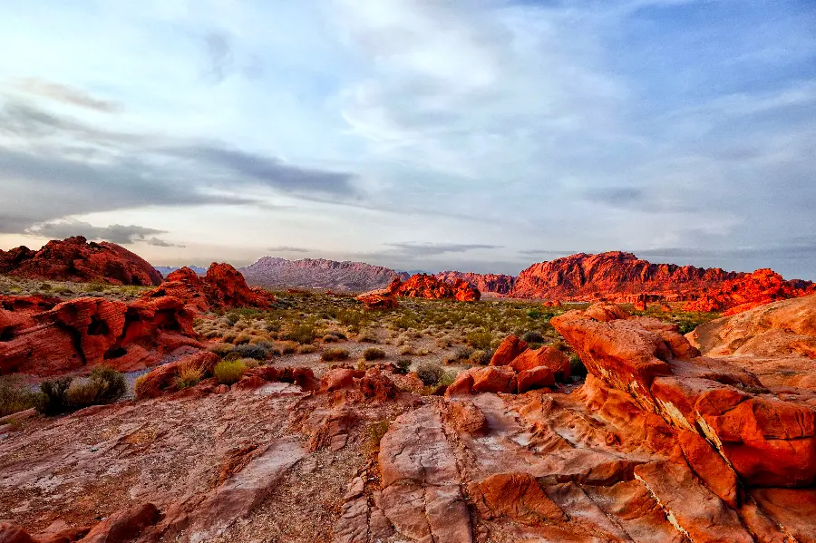 Free and high-quality wallpaper with an incredibly beautiful and special nature design