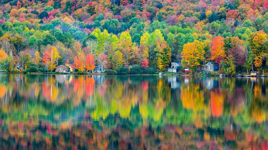 Download the amazing and eye-catching photo of God's pure nature in the fall
