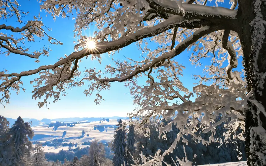 Download free winter themed wallpaper for laptop and computer 