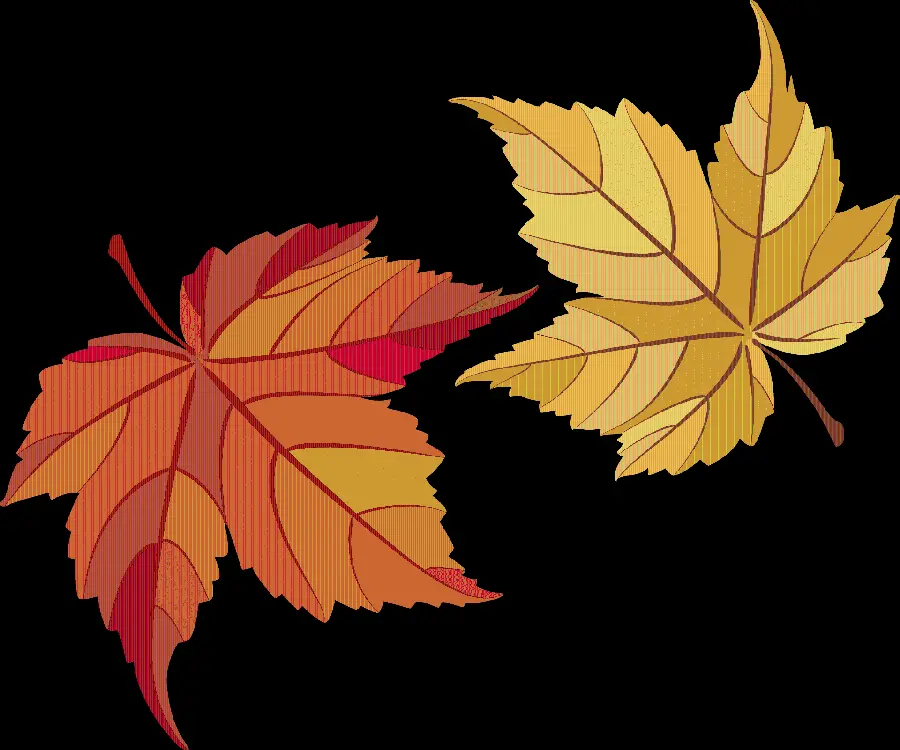The most beautiful PNG and cut out image of autumn leaves, stylish and special graphics 