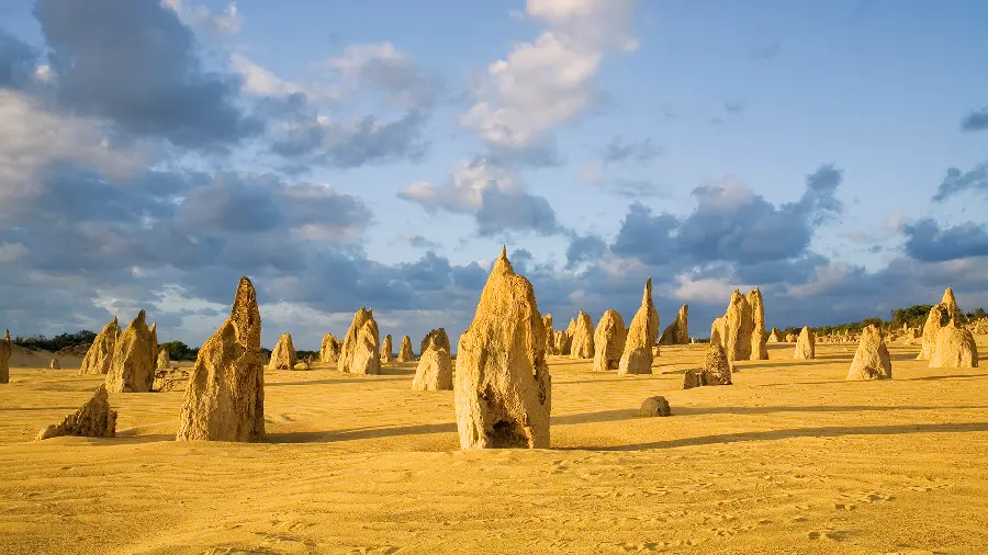 Image taken from the Pinnacles Desert from the Australian National Archives