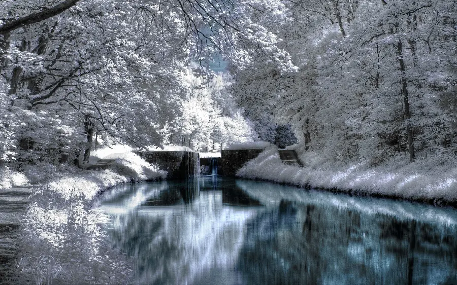 Stock photo of frost and snow in the winter forest 