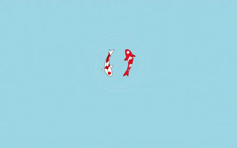 Minimal photo of goldfish with a simple background for profiles and wallpapers 
