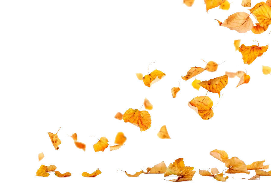 Simple computer graphic image of an autumn design for decorating a frame orProject 