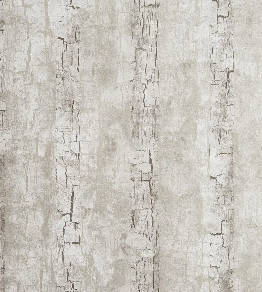 The Most Beautiful Simple White Tree Trunk and Bark Design Special and unique 