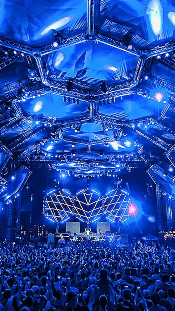 Crowded Music Festival Image for Phone Background 
