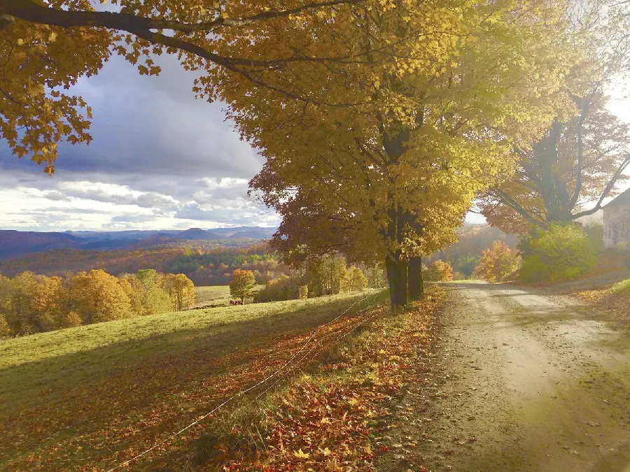 Profile photo of lush nature with cool autumn weather 