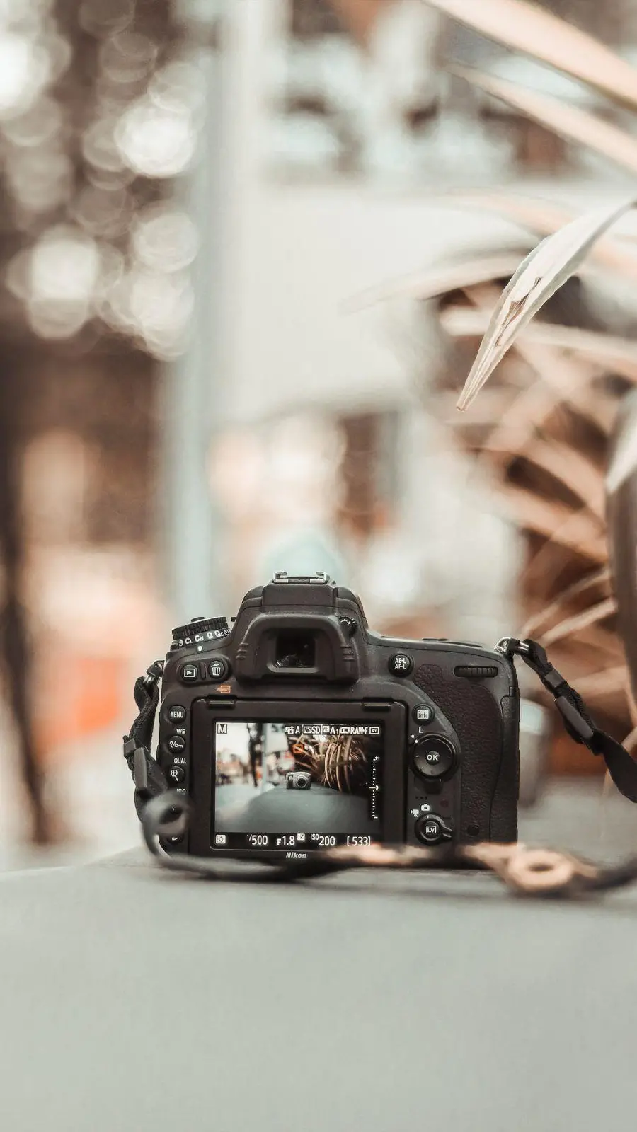 Photo of the Canon Eos camera with a rear monitor with a movable touchscreen 