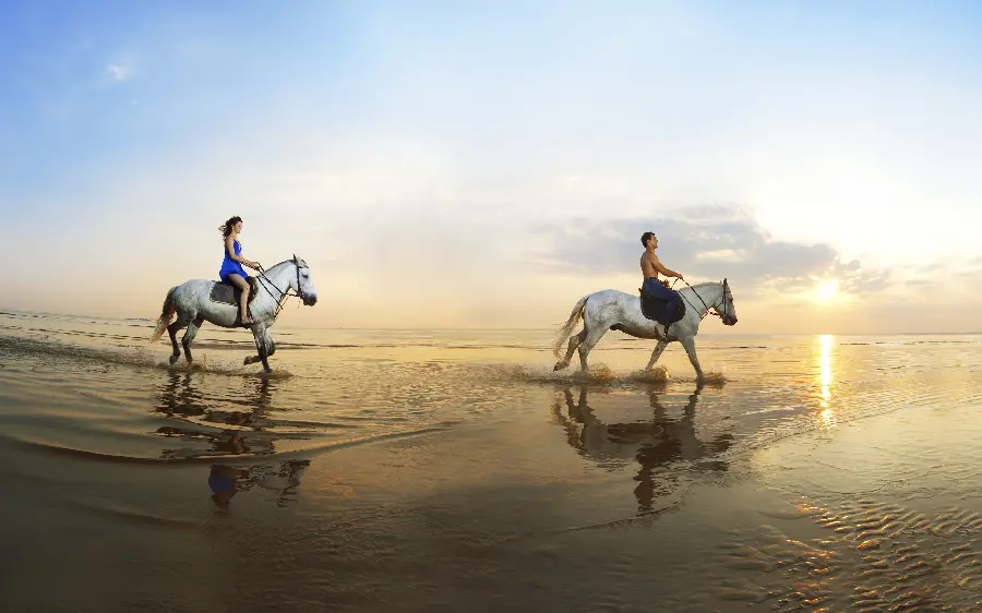 Background image of two white horses with a rider on the seashore 