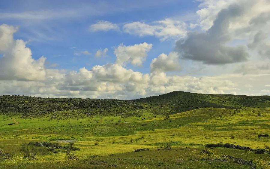 A wonderful and eye-catching images of lush nature 