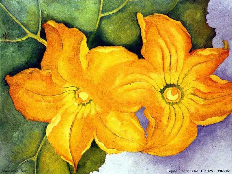 Photo of the painting Pumpkin Flower by Georgia O'Keeffe 1925