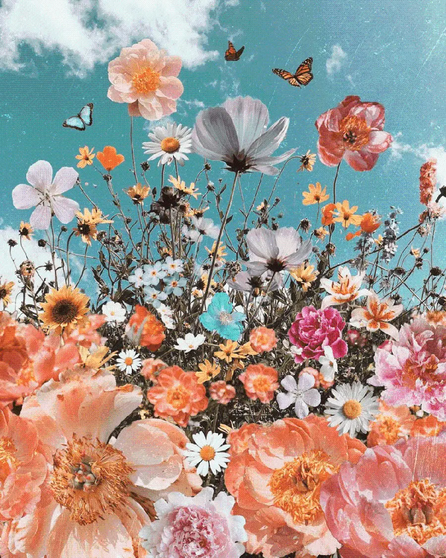 Download wallpaper design of several pieces of pink and white flowers, the birthplace of butterflies 