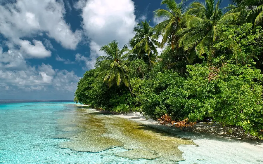 Beautiful photo of nature landscapes for making and designing videos