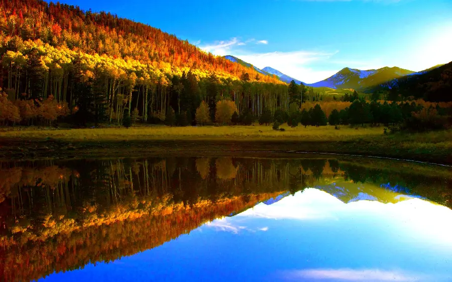 A beautiful clear azure lake hidden in the embrace of the forest