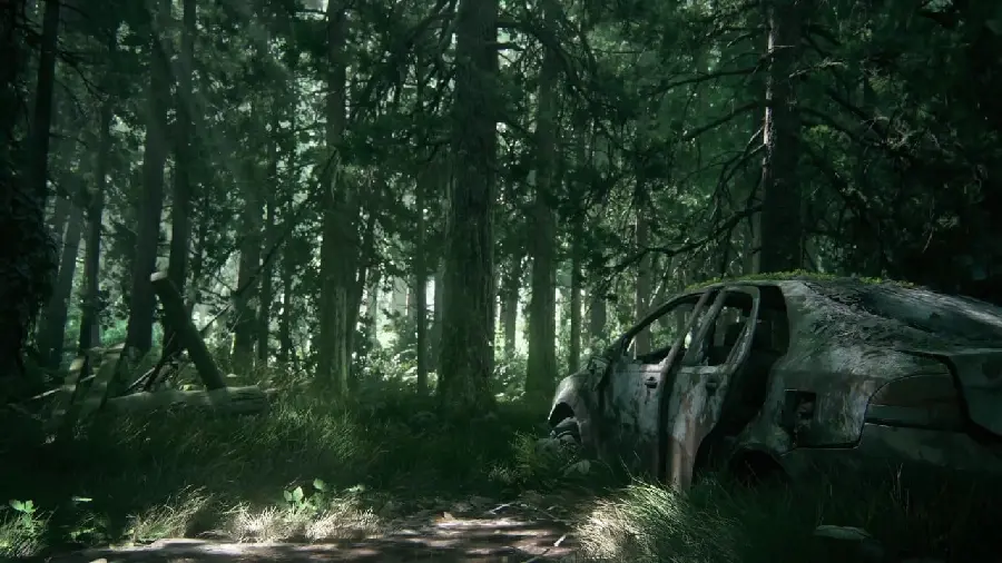 Wallpaper BahL of a broken car in the middle of a forest devoid of people 