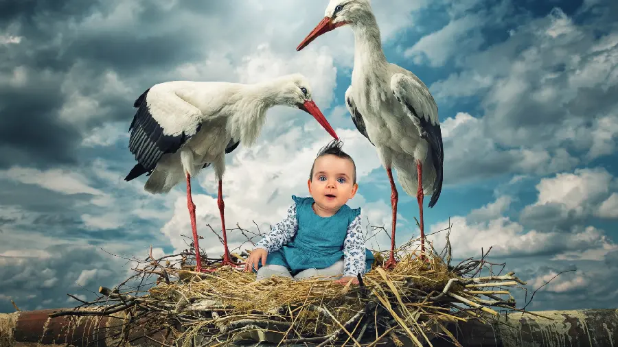 Download funny and cool photos of storks and children in the sky in high quality