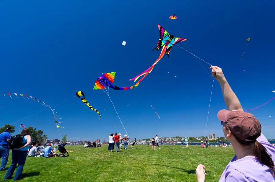 Interesting and spectacular image of the colorful kite flying festival 