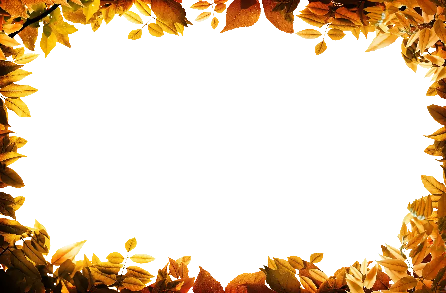 Autumn text box photo for writing text in PNG format