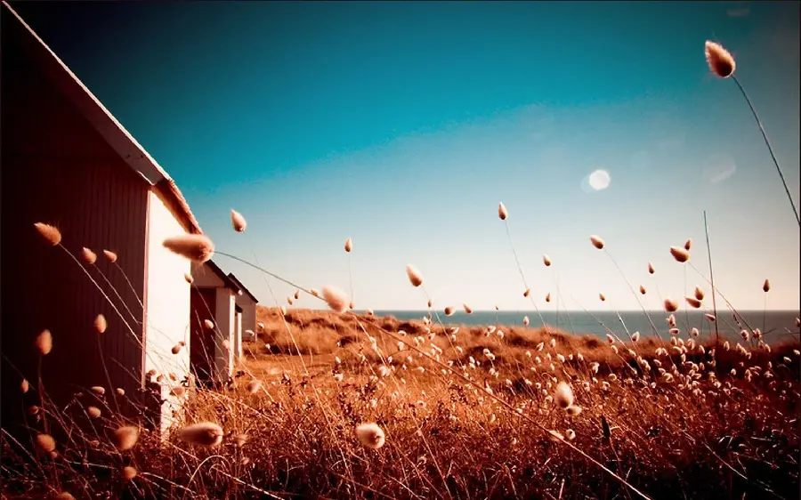 Download a very beautiful and spectacular image of autumn leaves