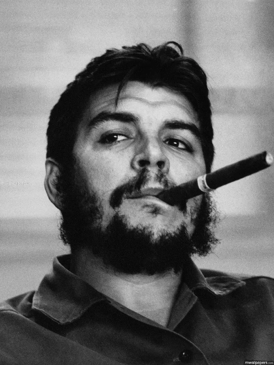 Image Profile of a boy photo of Ernesto Che Guevara, a famous figure of the Cuban revolution 