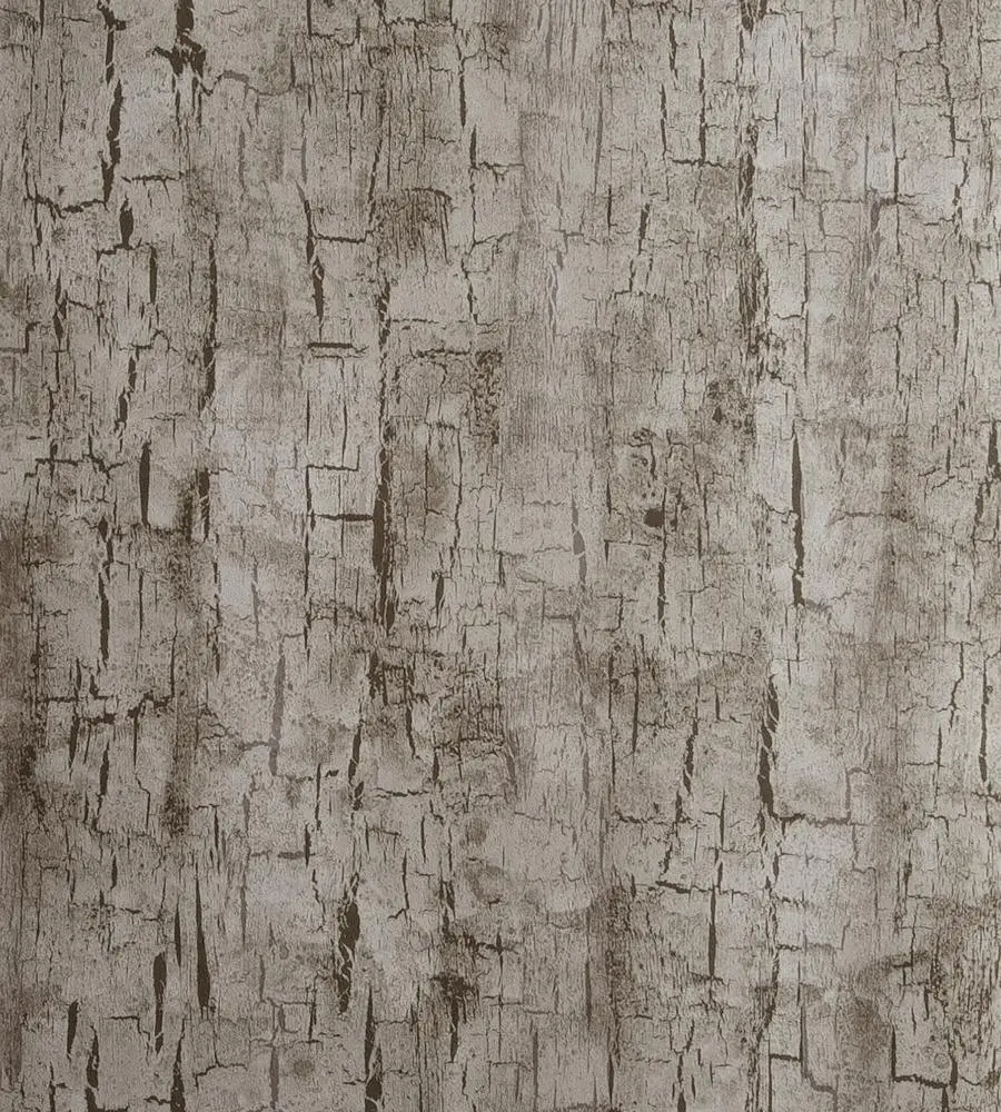 Simple and stylish design and texture of white tree trunk bark suitable for wallpaper printing 