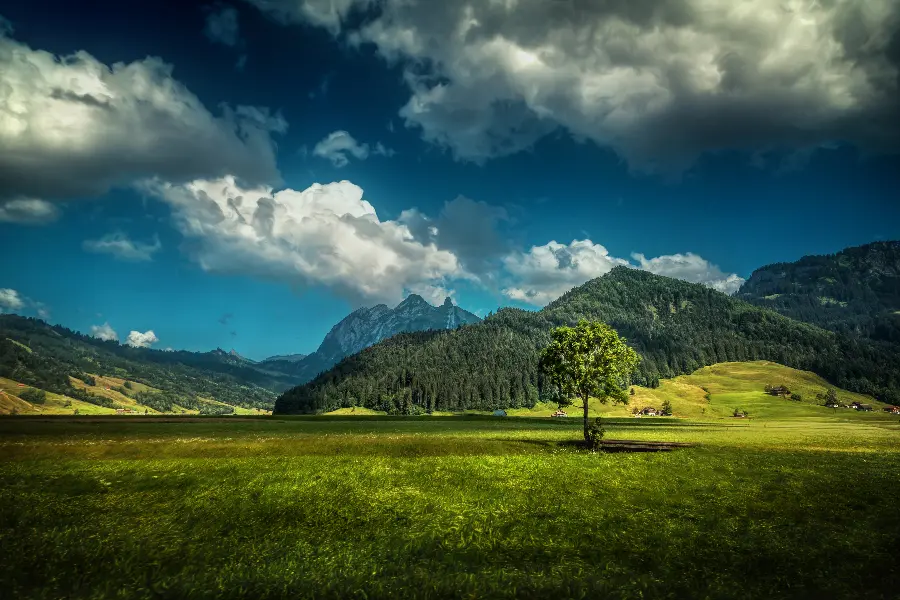 The most beautiful and romantic landscape photo for the honeymoon 
