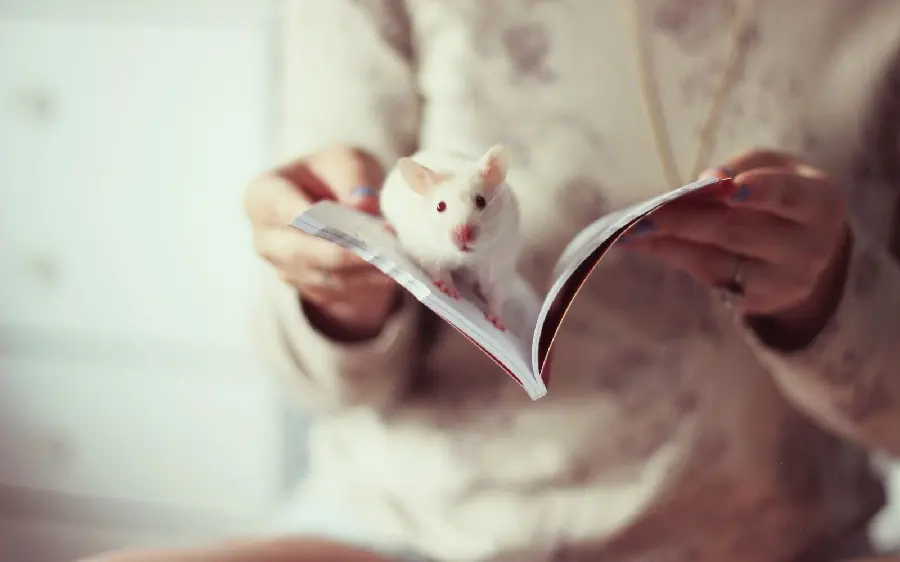 The cutest profile picture for girls with a white hamster picture