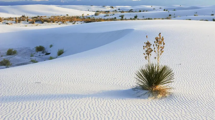 Simple and stylish winter and snow background for boys and girls