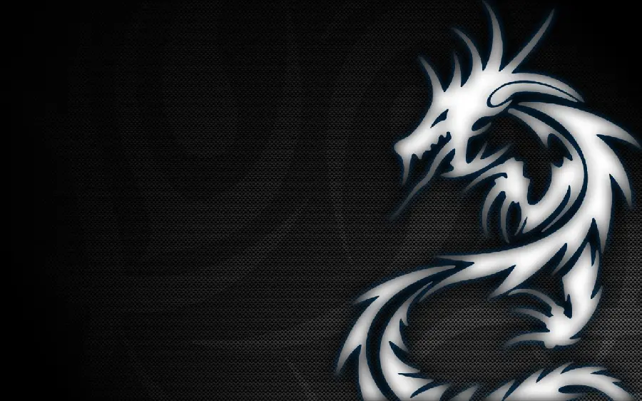 Simple and white graphic dragon design wallpaper suitable for tattoos 