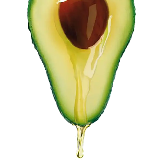 Interesting and spectacular picture of avocado fruit upside down 