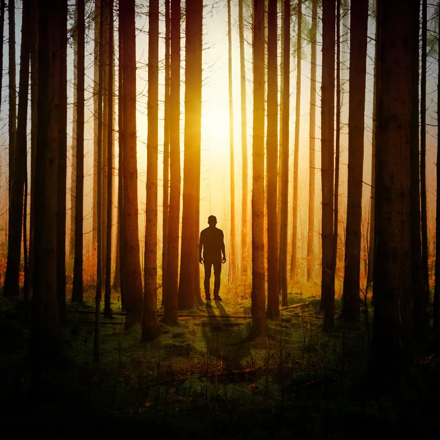 Profile picture of a lonely and sad man next to the trees 