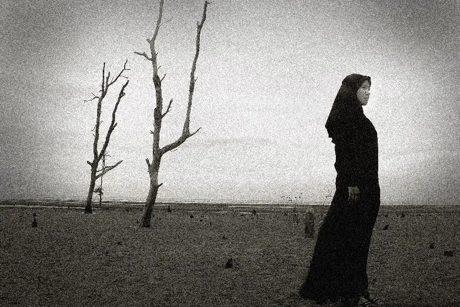 A beautiful Muslim lady in the style of fine art photography
