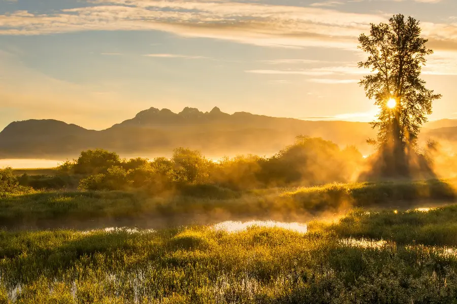 A very special and unique photo of Iranian nature in a sunset view