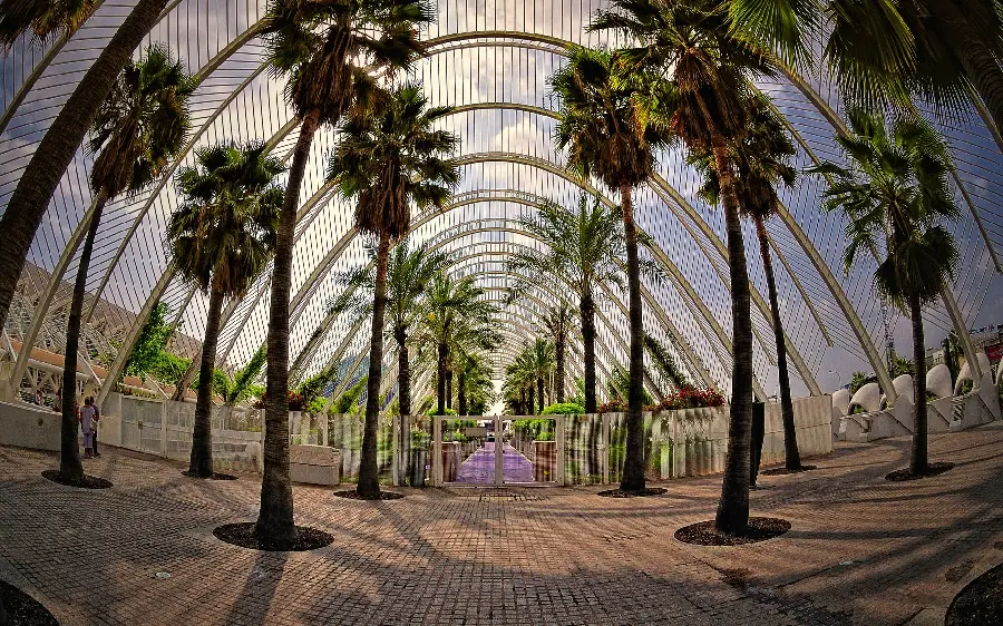 A very beautiful photo of a large greenhouse for a background