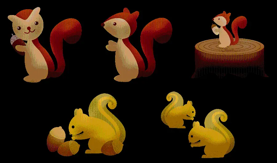Squirrel PNG graphic photo with different and special designs 