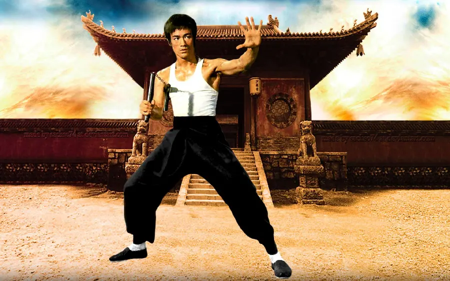 Special and full face Bruce Lee wallpaper for desktop background 