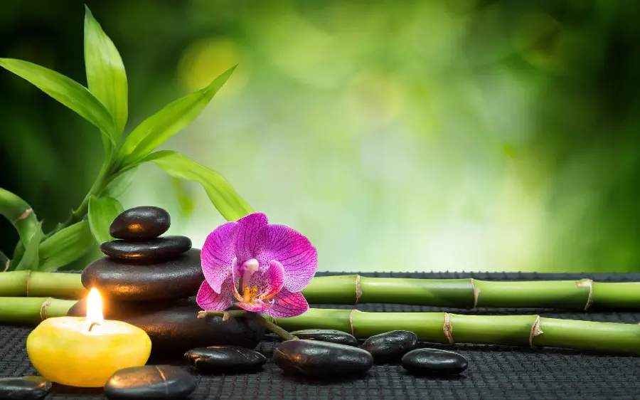 Profile photo of stones and orchids next to a lit candle for romantic people