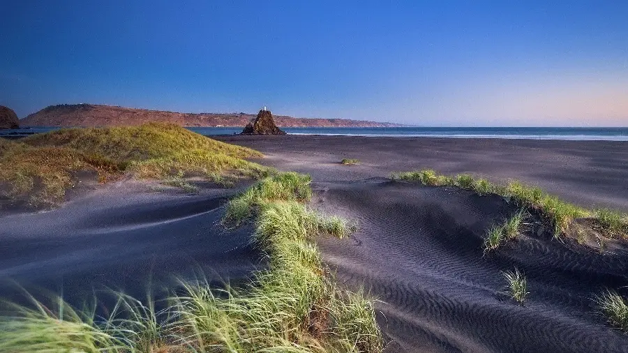 Very cool and interesting photo of grass growing on the beach sand