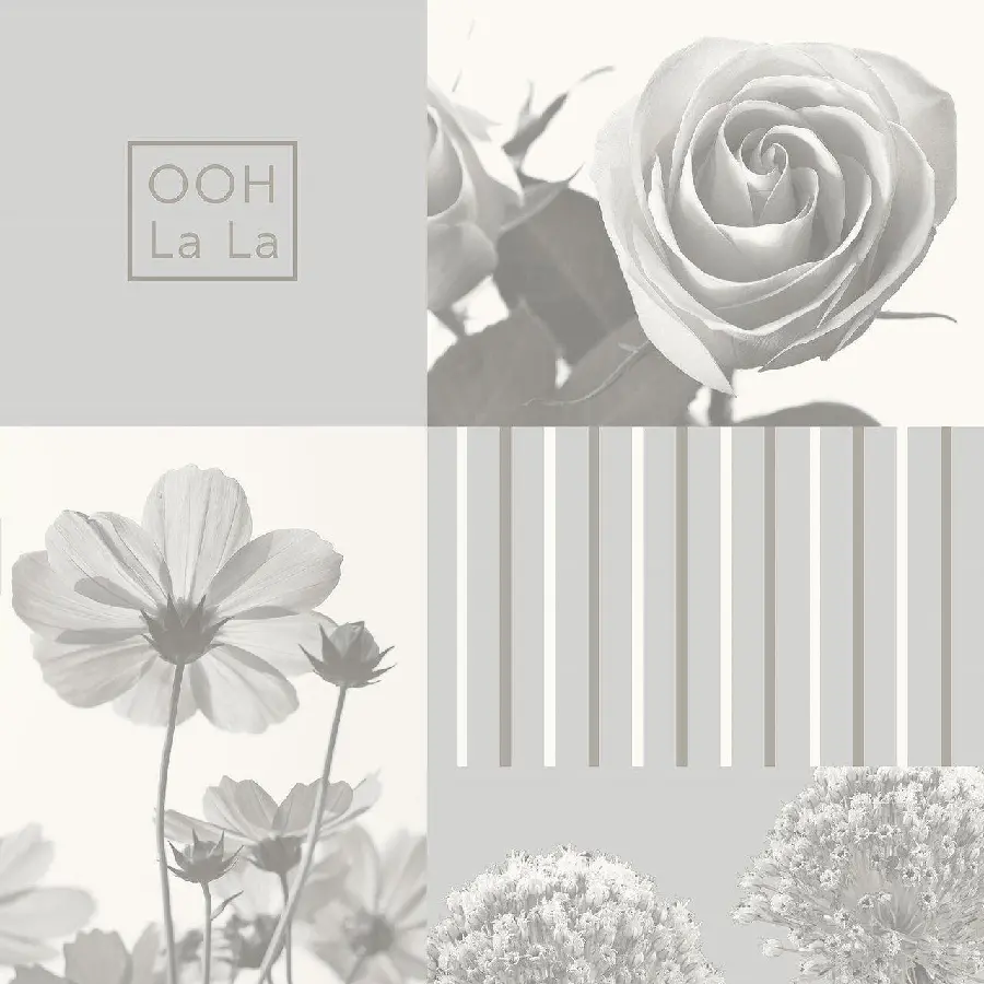 Attractive and Beautiful Photo of Several Pieces of Flower Collage for Background and Profile