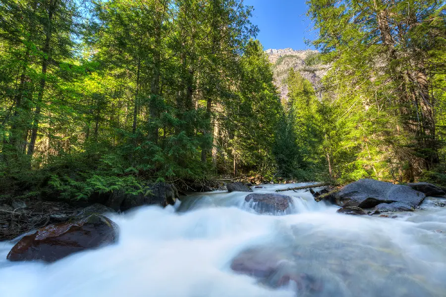 The most visited natural scenery background of a dense and watery river 