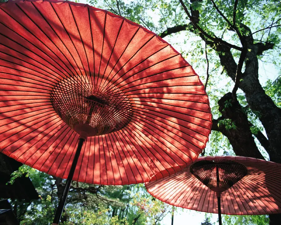 Photo of Japanese umbrellas in the background of lush nature