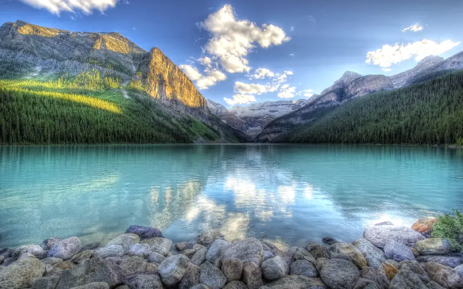 Download spectacular and interesting wallpaper and background image with 8K quality