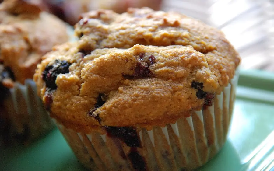 Photo of muffins and small blueberry cupcakes with a simple background and no editing 