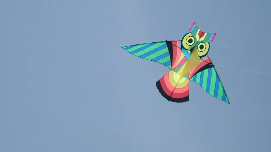 A very creative and professional high quality owl kite photo