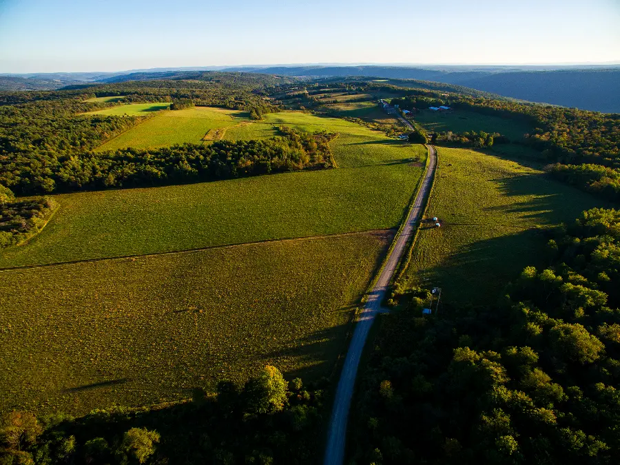 A picture of nature and a lush plain on a sunny day