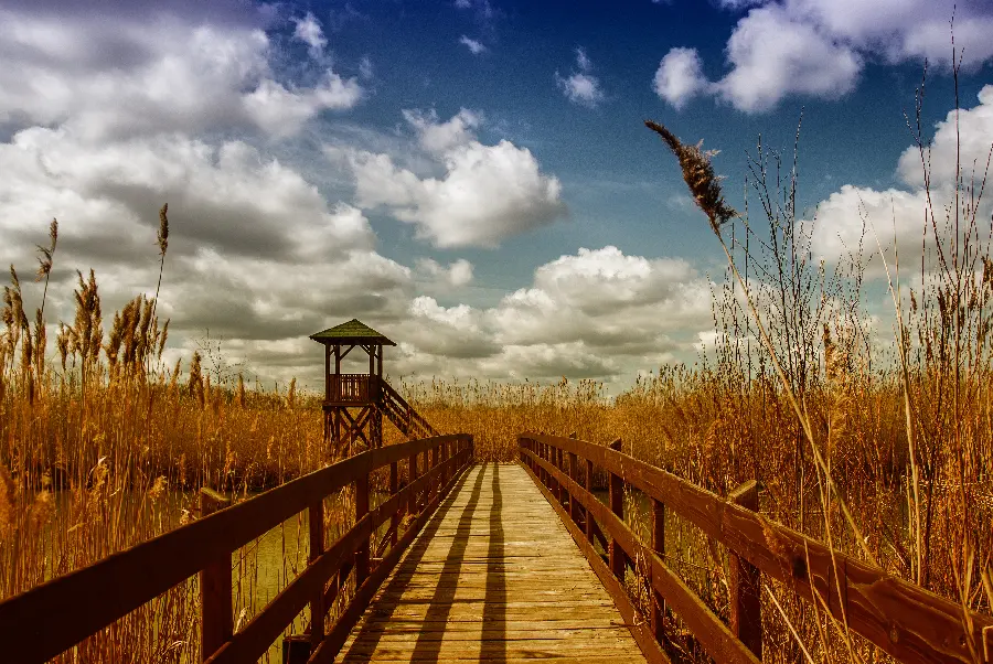 Relaxing nature background published in 1402