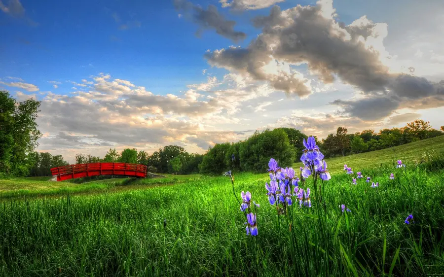 A refreshing image of a natural attraction with a spring landscape