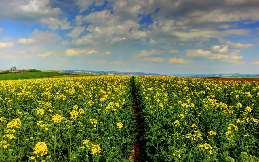 A recorded photo of a beautiful natural attraction for photography and making a clip