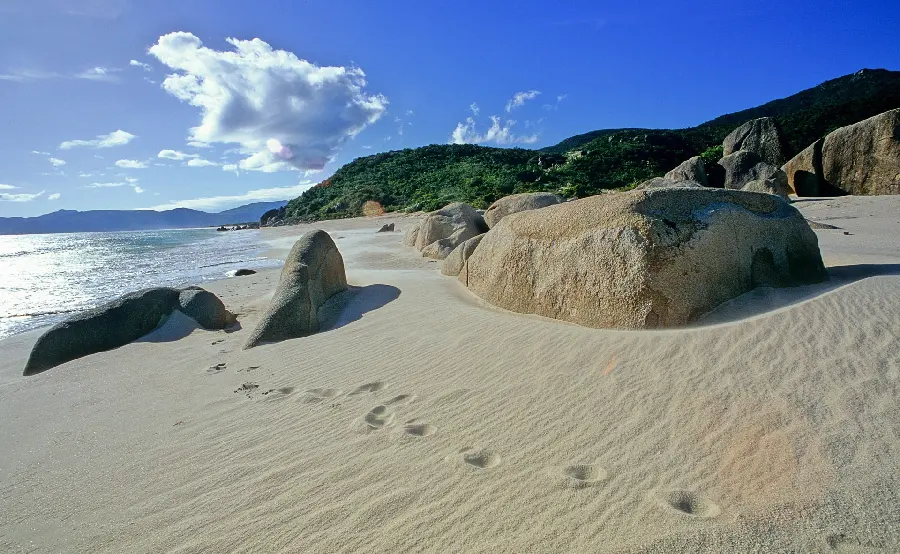 Background photo of the beach and spectacular nature